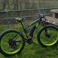 fat bike elettrica assistita