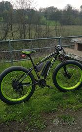 fat bike elettrica assistita