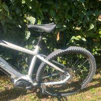 E -Bike Olympia Master 360 10S