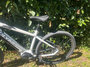 E -Bike Olympia Master 360 10S