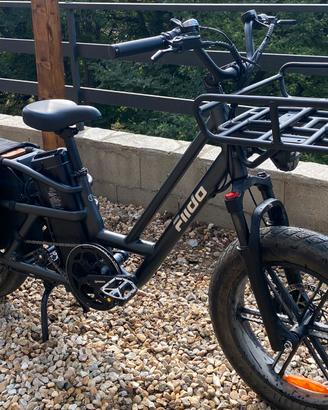 Bici elettrica Fiido T2 Cargo E-Bike