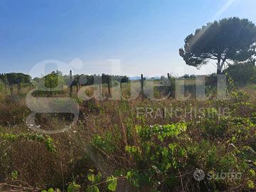 Terreno Agricolo Ponsacco [Cod. rif 3213847VCG]