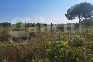 Terreno Agricolo Ponsacco [Cod. rif 3213847VCG]