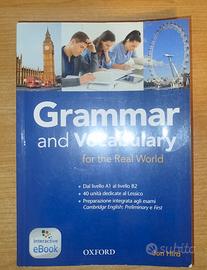 Grammar and Vocabolary for the Real World