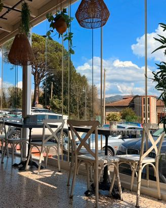 15 sedie bar/ristorante metallo