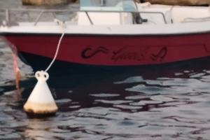 Barca a motore m.5,50 con carrello.