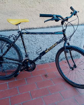 MTB adulto ruote 26 mg Record