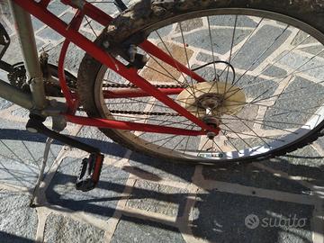 Coppia di biciclette Vermont e...