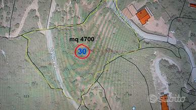 Terreno agricolo Itri Latina