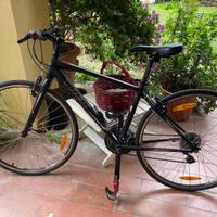 Bicicletta da città e turismo