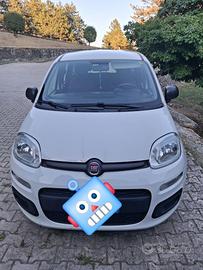 Panda 2017