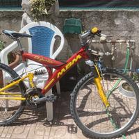 Bicicletta sportiva ammortizzata