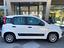 Immagine 4