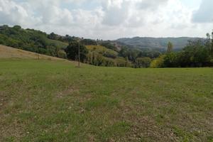 Terreno edificabile a Barchi