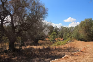 TER. RESIDENZIALE A OSTUNI