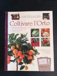 Coltivare l'orto