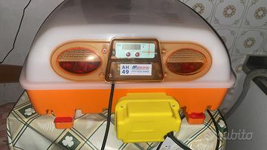 Incubatrice da 49 uova