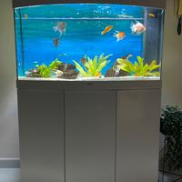 Acquario juwel 180