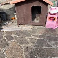 Cuccia cane