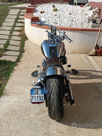 Harley davidson softail custom FXSTC