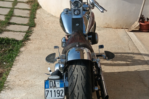 Harley davidson softail custom FXSTC