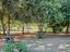 Immagine 26