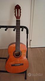 Chitarra Eko