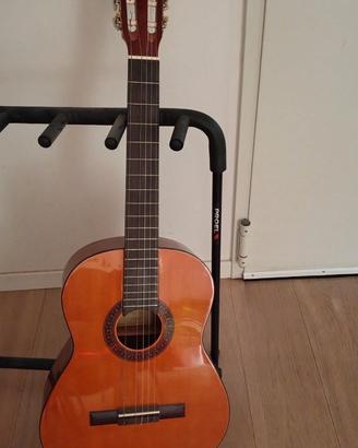 Chitarra Eko
