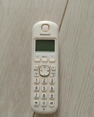 Cordless Panasonic con caricabatteria.