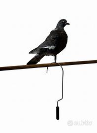 Ganci per stampi da caccia al colombaccio