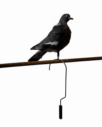 Ganci per stampi da caccia al colombaccio