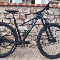 Cannondale Trail SE 2