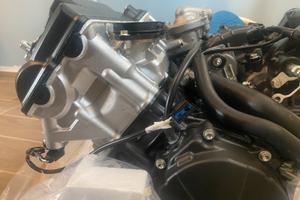 HONDA CBR 600 RR 2024 2026