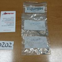 Anelli rasamento triumph