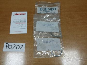 Anelli rasamento triumph