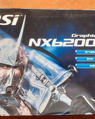 Scheda Video Nvidia msi Geforce NX6200AX 512 AGP