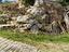 Immagine 12