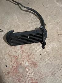Radiatore R 1150 GS