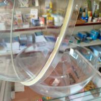 Box  nel palloncino