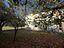 Immagine 24