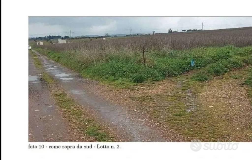 Immobile in asta di 21432 m² a Viterbo - Vista 4