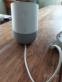 google home