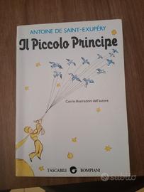 il piccolo principe 