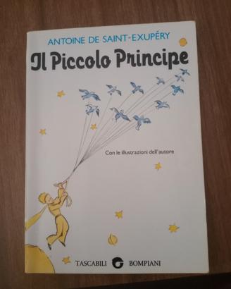 il piccolo principe 