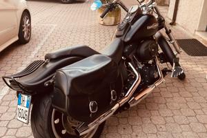 Harley davidson