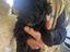 Immagine 3