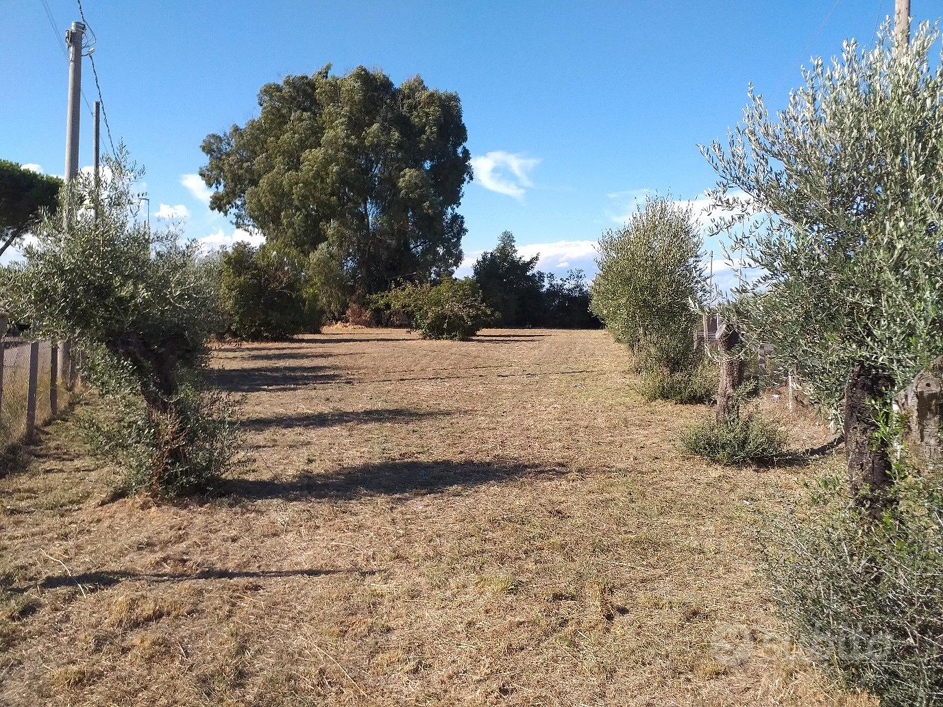 Lotto attaccato a Roma di mq.40.16 in consorzio - Vista 4