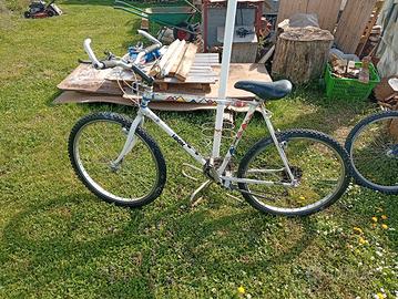 bici uomo 