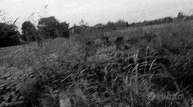 Terreni a Travacò Siccomario (PV).