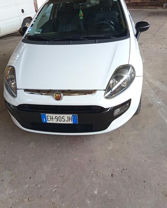 fiat punto